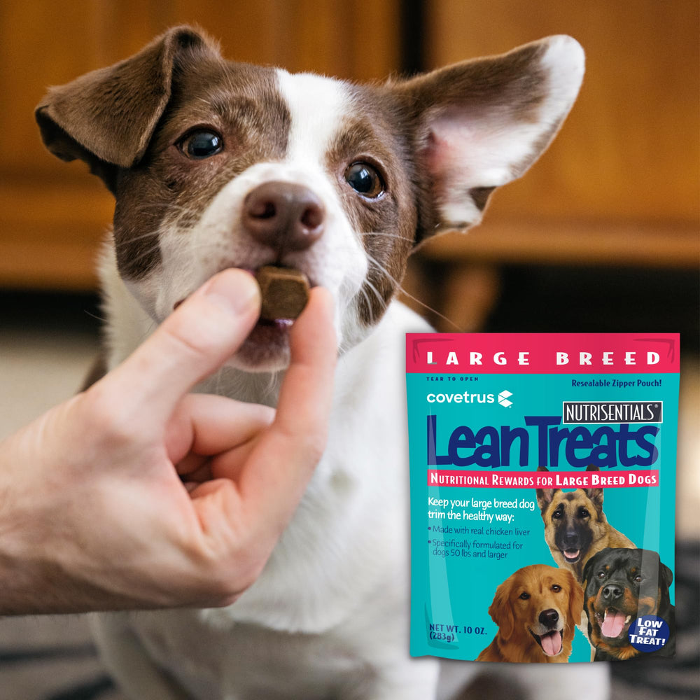 Covetrus Butler Lean Treats, hecho en EE. UU., snack sabroso para perros grandes