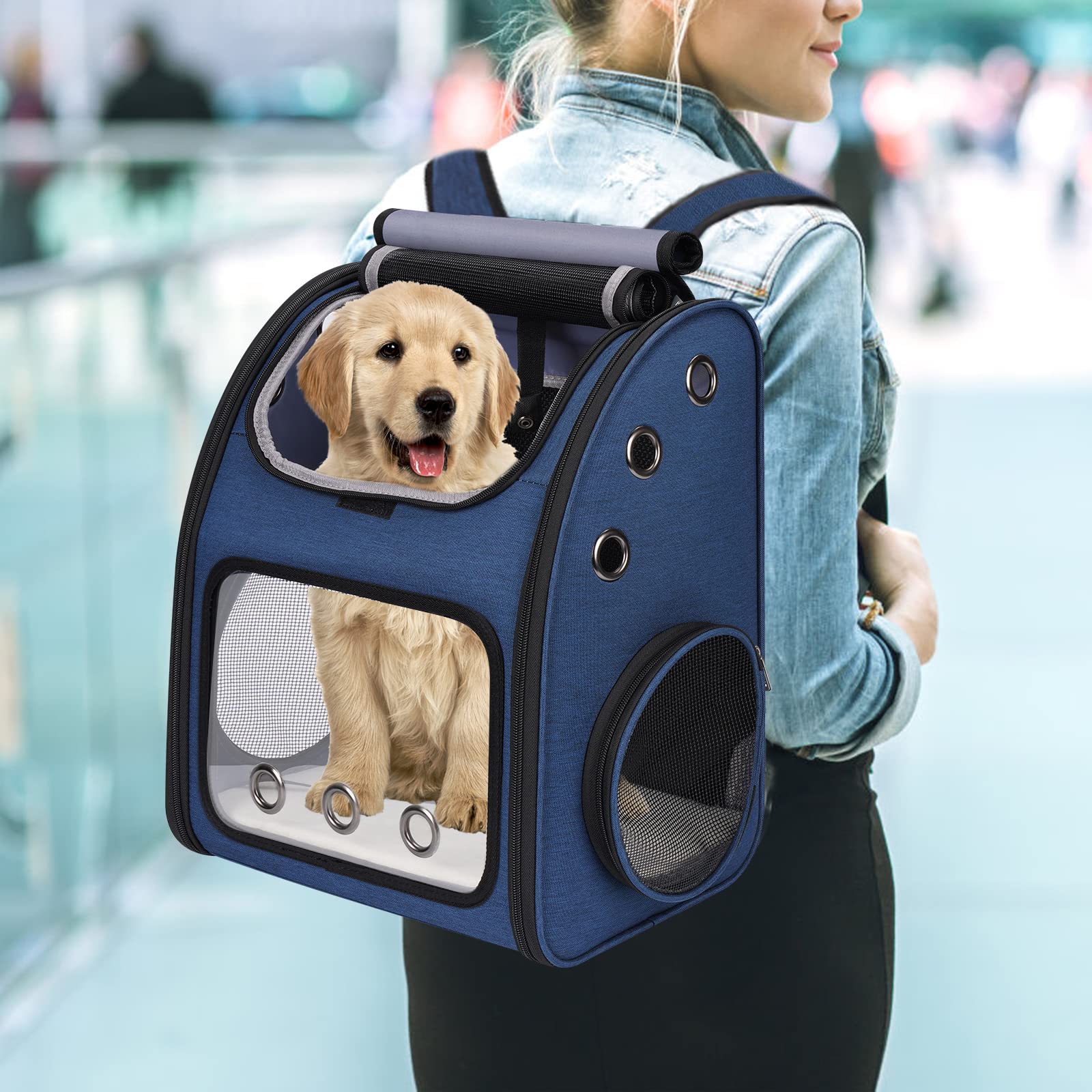 COVONO Dimensiones específicas para gatos y perros pequeños.