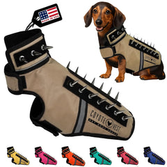 CoyoteVest SpikeVest para perros pequeños con visibilidad nocturna.