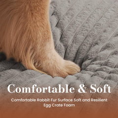 Cozila Cama para Perro Extra Grande funda desmontable lavable, limpieza rápida