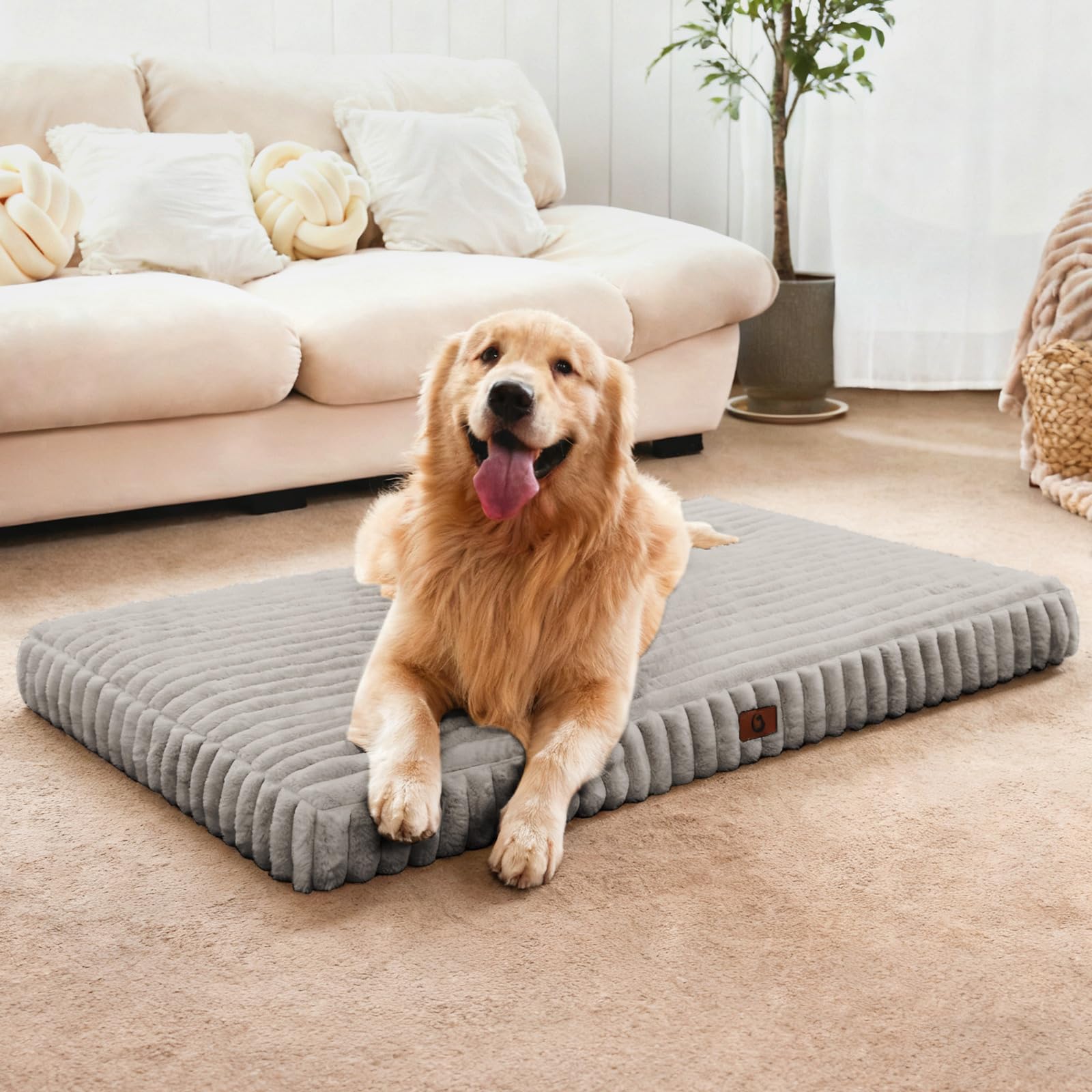 Cozila Cama para Perro Extra Grande general, descanso cómodo para razas grandes