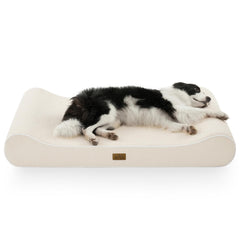 Cama ortopédica Cozy Kiss extra grande en vista frontal, apoyo ergonómico para perros grandes.