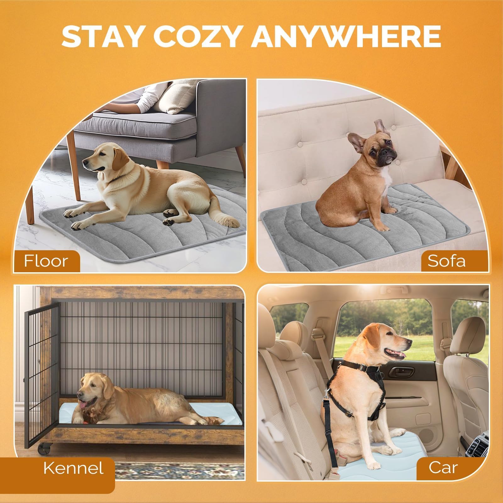 Portabilidad Cozyide para mascotas, ideal para viajes.