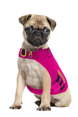 CozyVest chaleco ansiedad perro - ajuste cómodo para calmar durante fuegos artificiales