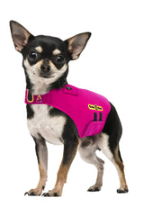 CozyVest chaleco calmante para perros con música y lavanda para tranquilidad.