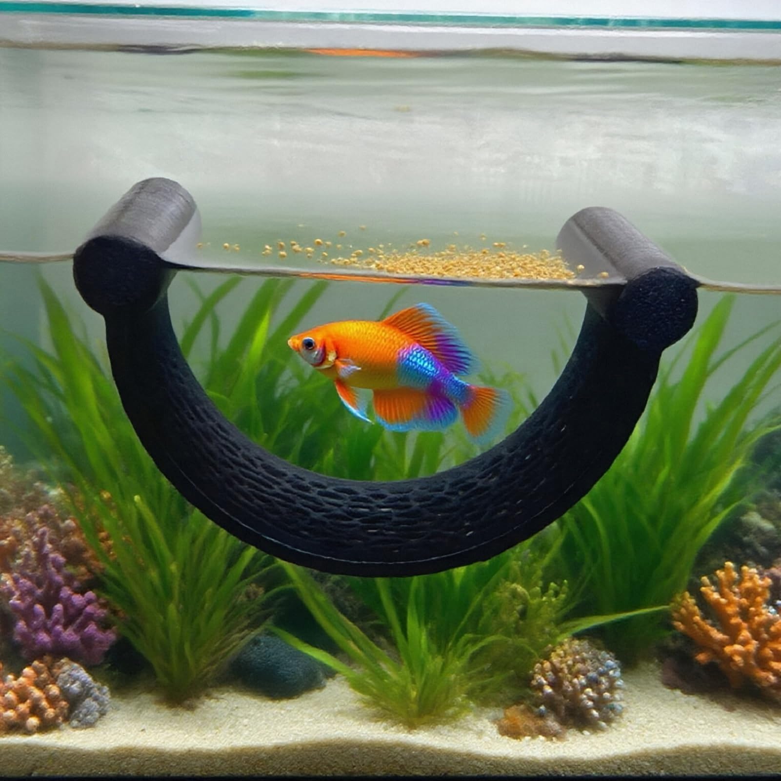 Plataforma CPLIKE para nanopeces, ideal para relajarse en la superficie.