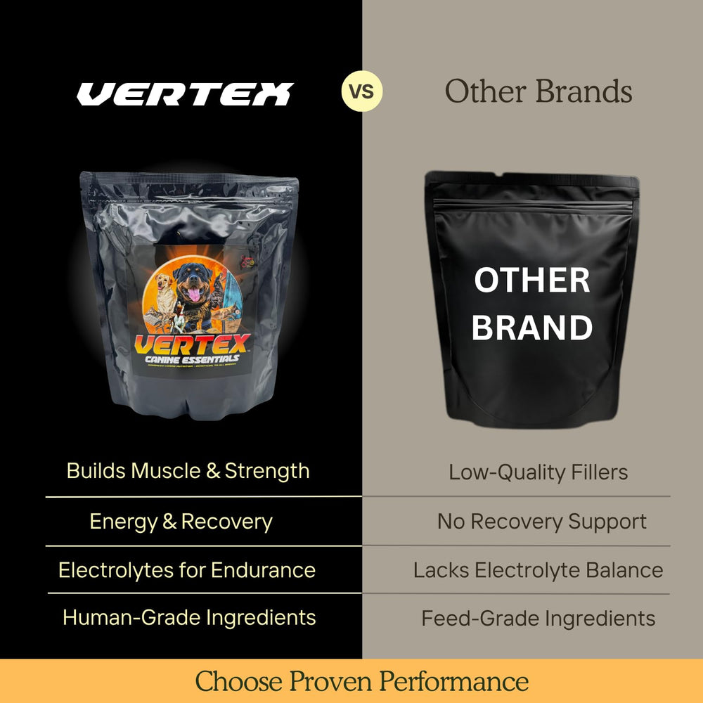 CPN Vertex: BCAA y nutrientes esenciales para energía diaria