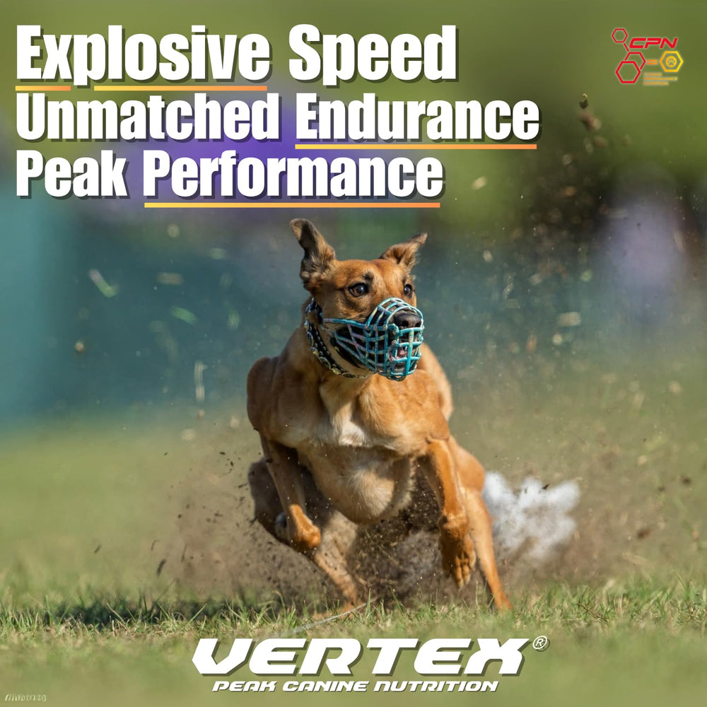 CPN Vertex: proteína de huevo predigerida para soporte muscular