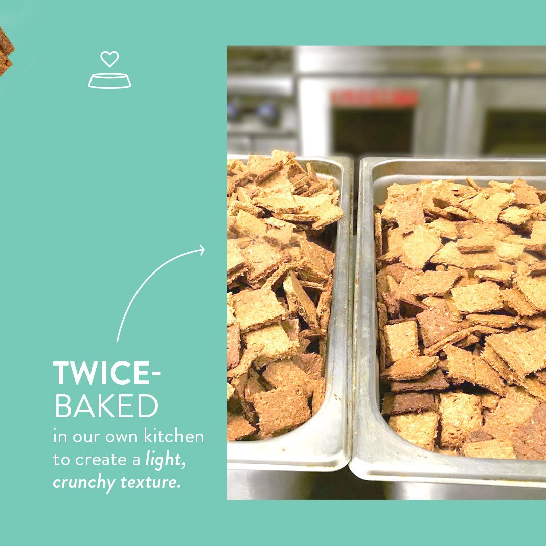Galletas Brew Biscuit aptas para estómagos sensibles y perros delicados.