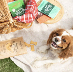 Brew Biscuit, galletas naturales para perros, sin conservantes y sin aditivos artificiales.