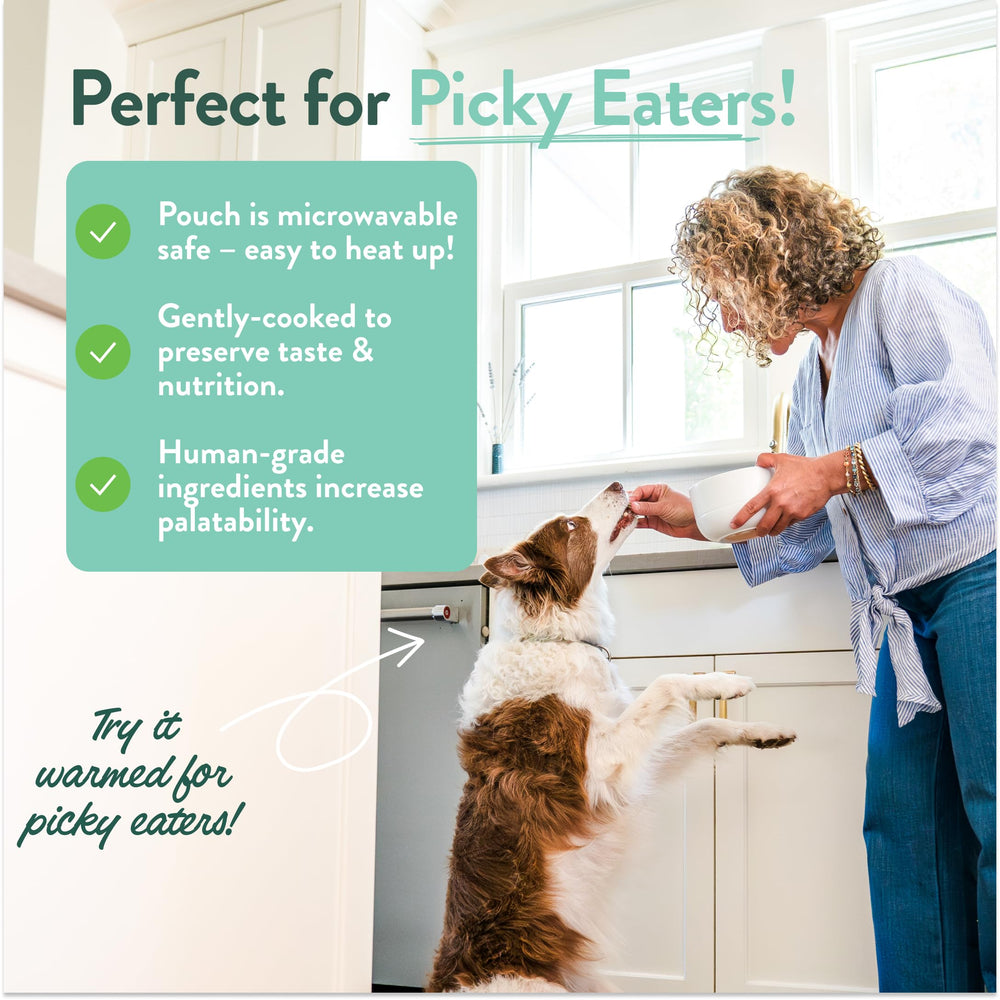 CRAFTED BY HUMANS LOVED BY DOGS: sabores carne-arroz para paladares exigentes