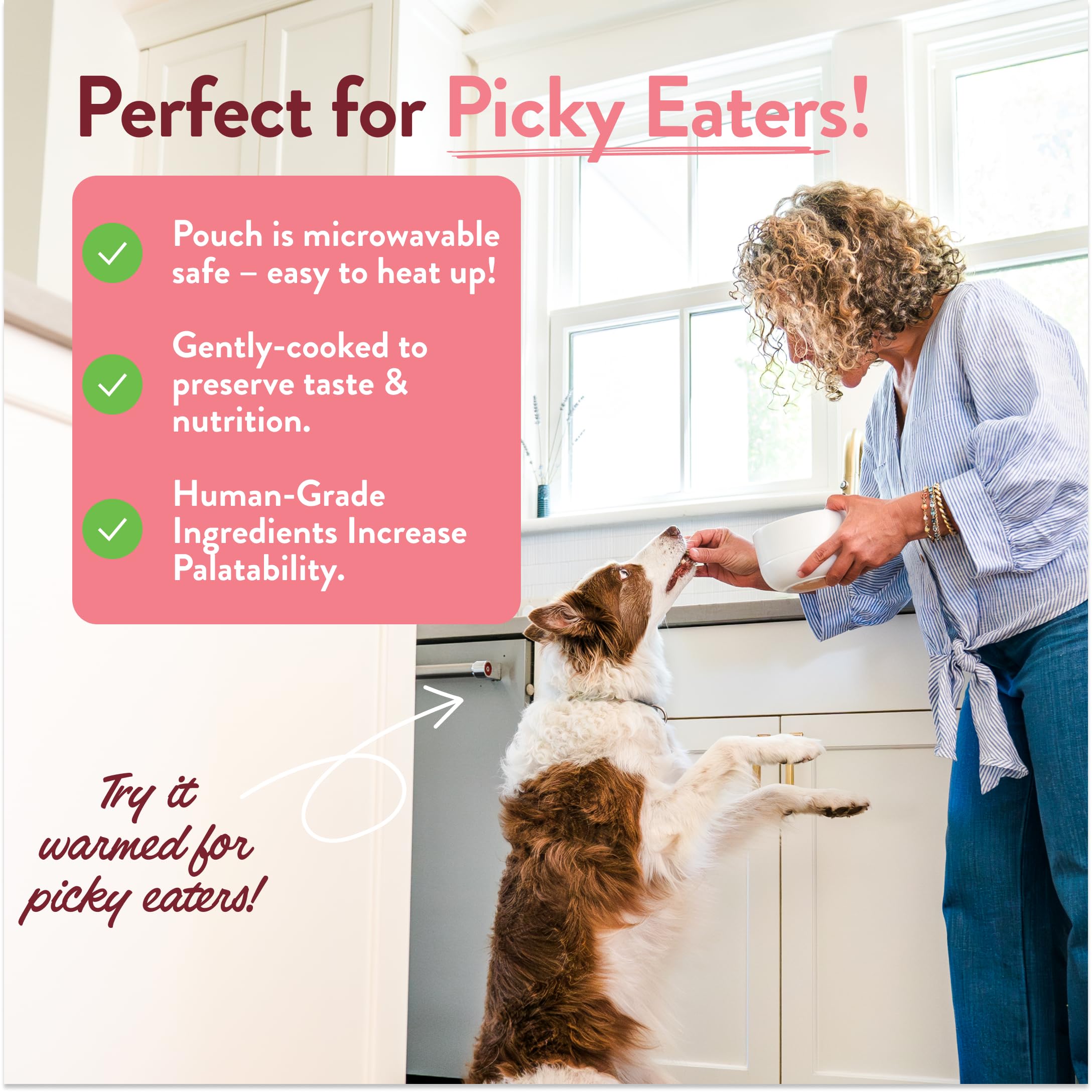 Wally’s Salmón N’ Arroz: idóneo para perros de todas las edades.