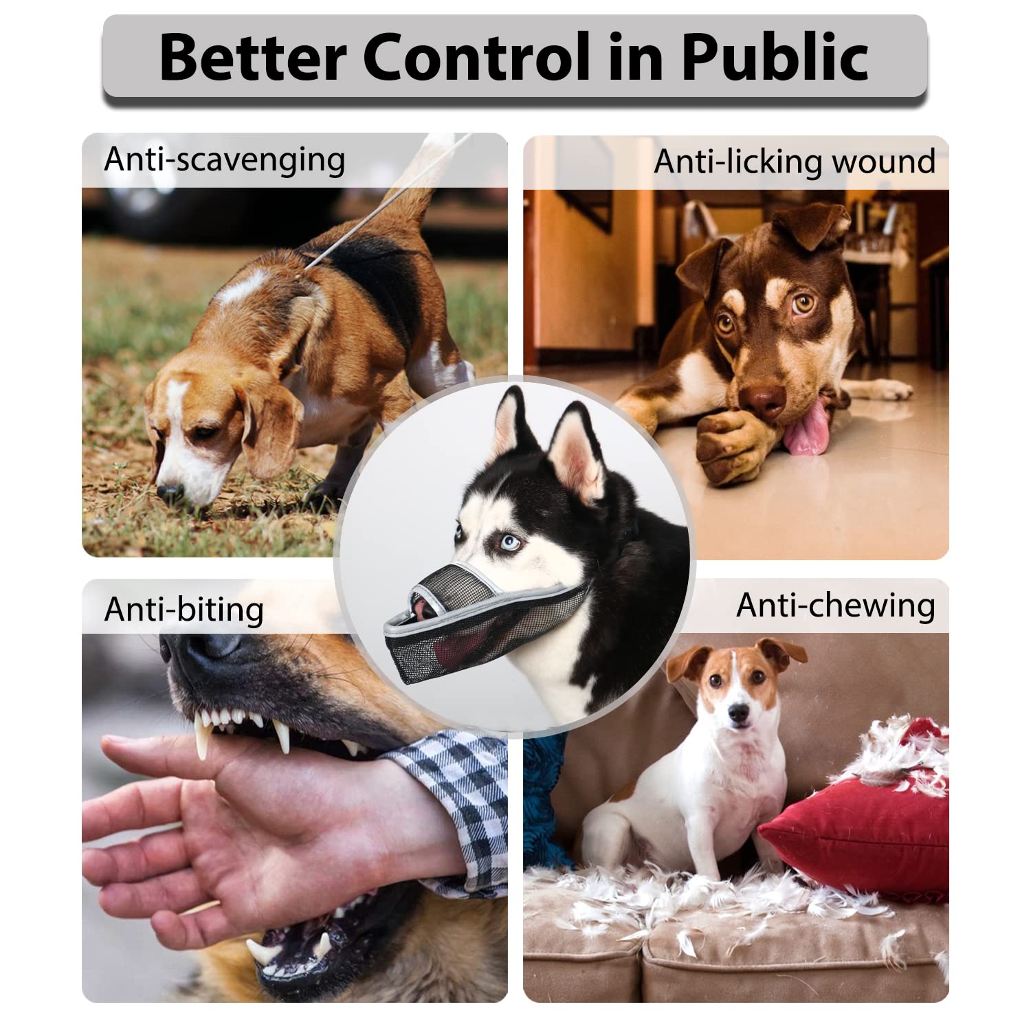 Crazy Felix bozal con cierre rápido para paseos al aire libre.