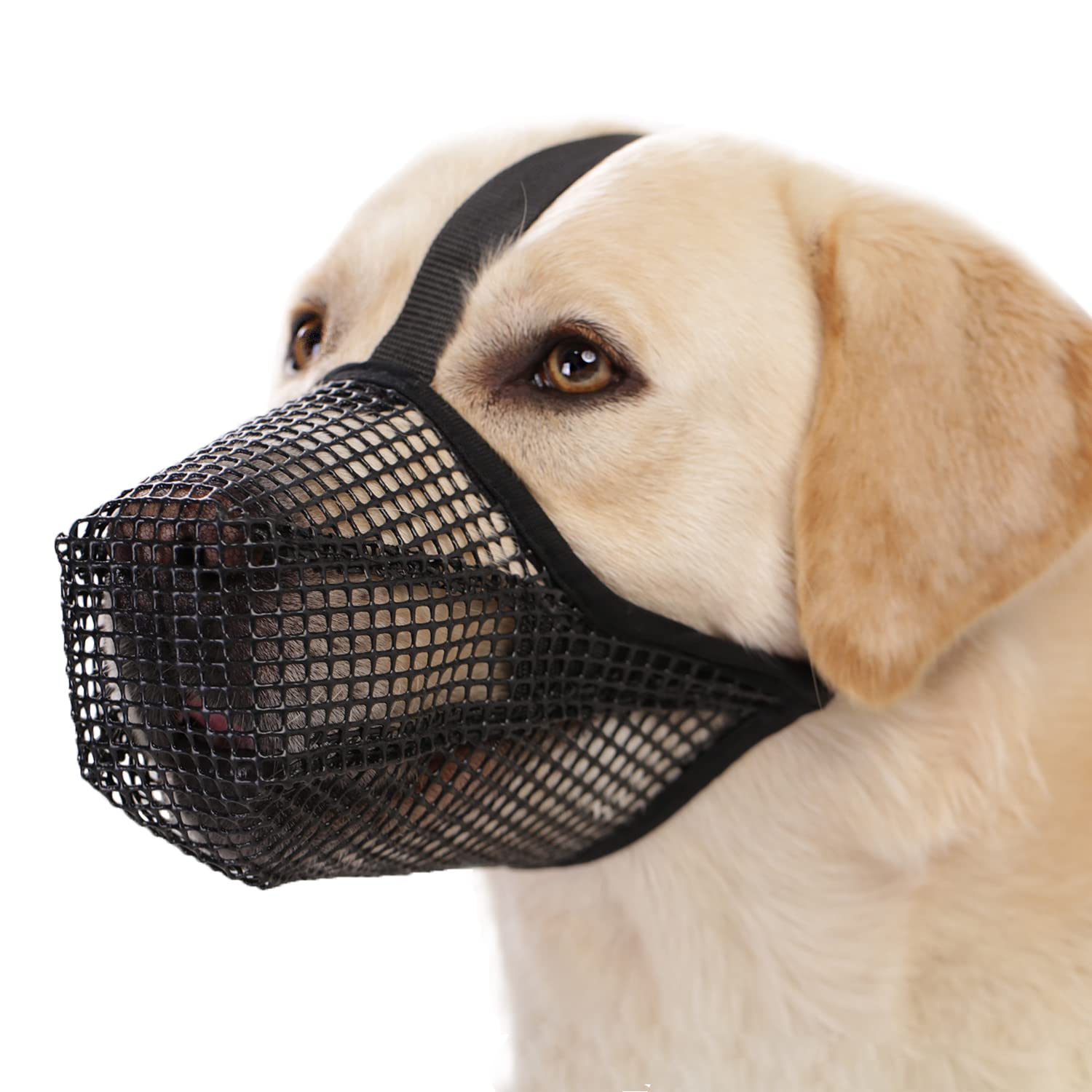 Crazy Felix bozal de perro de malla suave, ideal para paseos seguros y confortables.