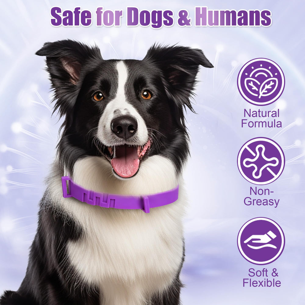 Collar impermeable de Crobirware para perros durante la lluvia