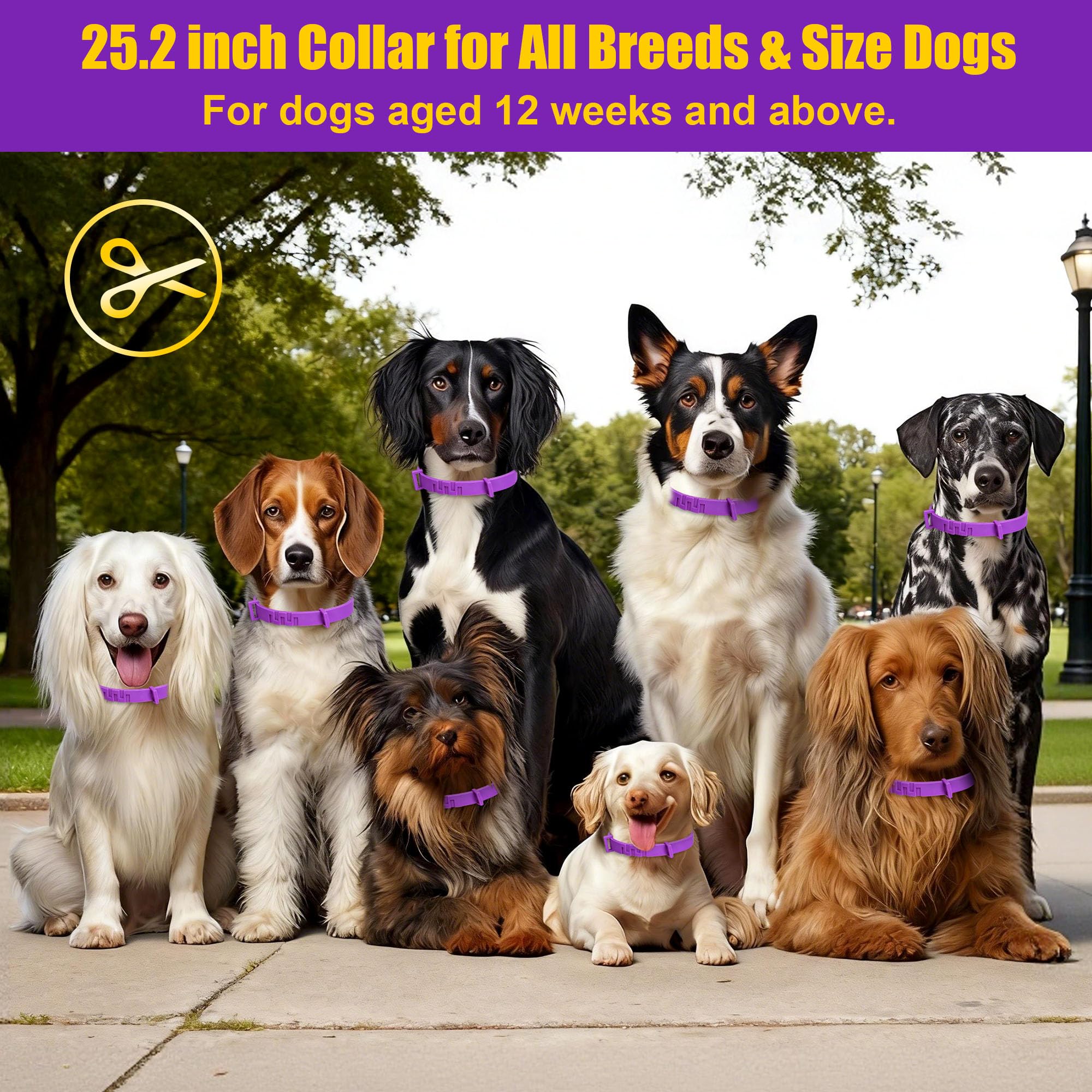 Collar Crobirware para uso exterior y aventuras al aire libre