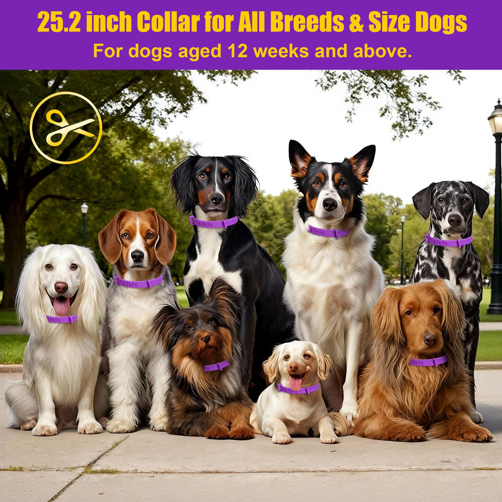 Collar Crobirware para uso exterior y aventuras al aire libre