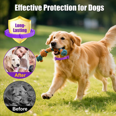 Conjunto de cuatro collares antipulgas Crobirware para varias mascotas