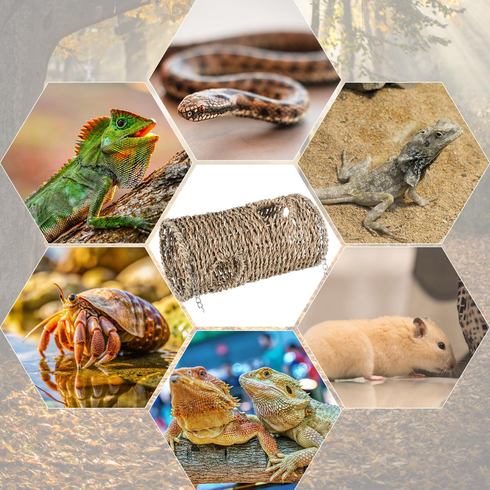 CroBlissful hábitat para reptiles pequeños, ideal para refugio y exploración.