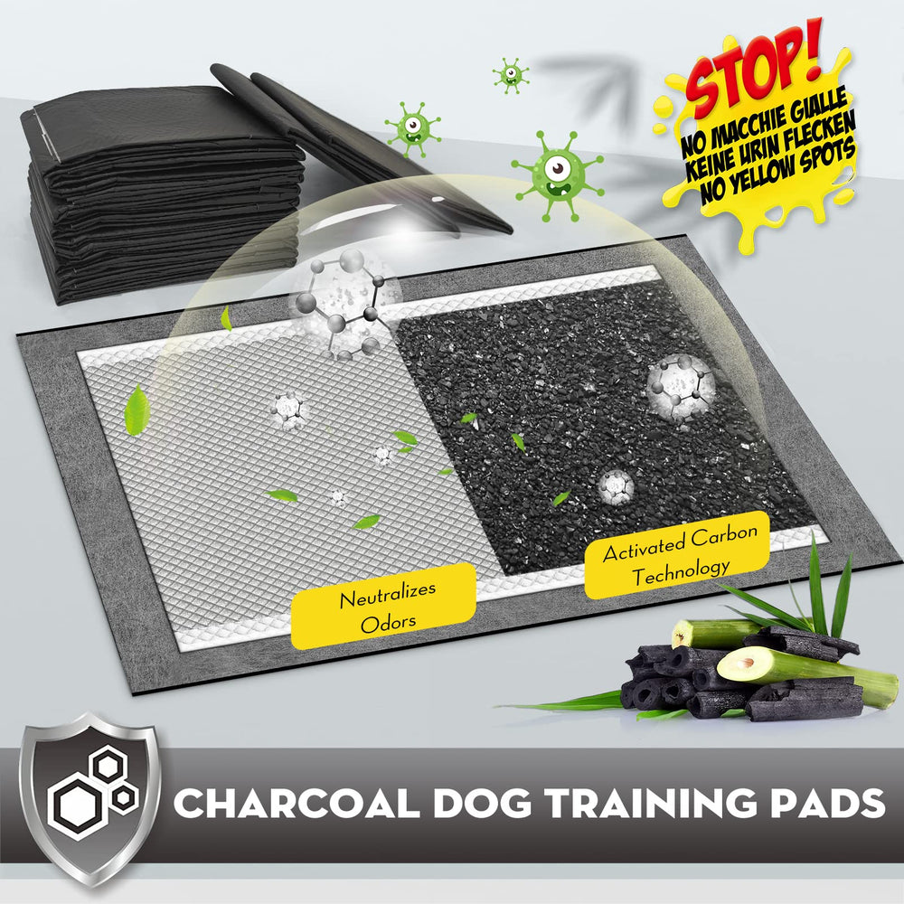 Croci diseno seis capas absorbente: alta capacidad para entrenamiento y proteccion de suelos.