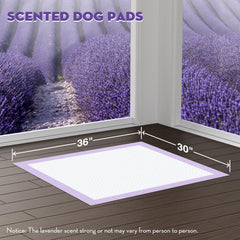Croci pads con tapas adhesivas para fijar en su sitio y evitar movimientos.