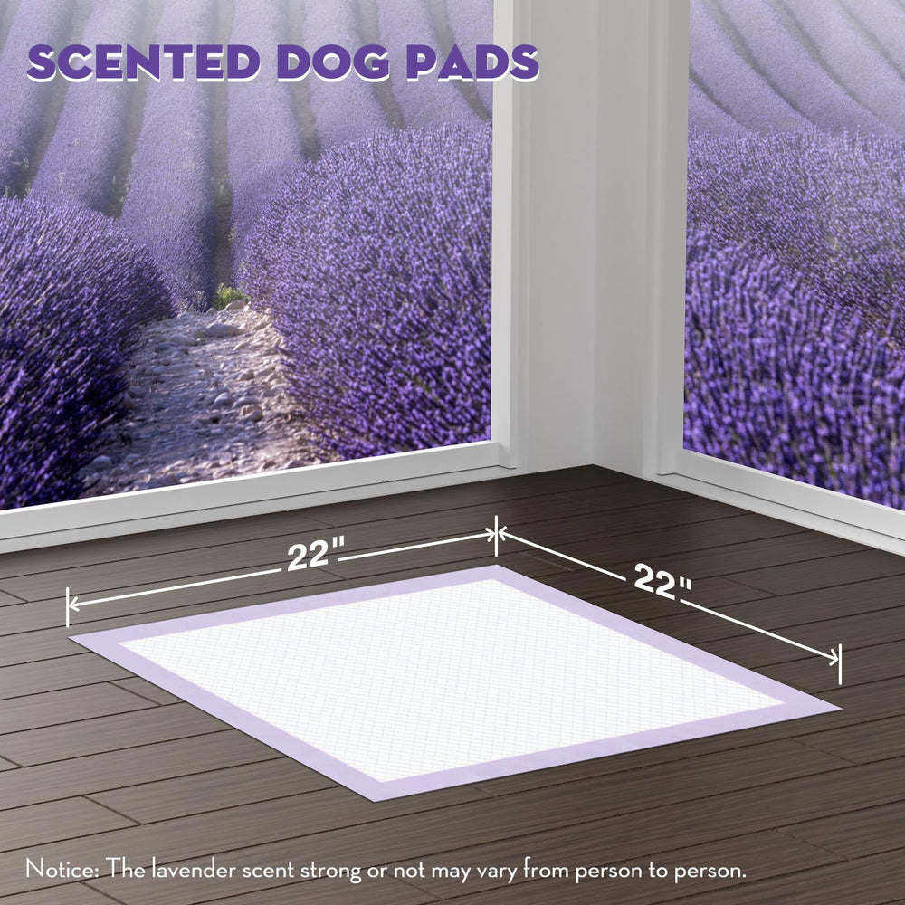 Croci almohadillas para perros con pestañas adhesivas, fijación estable.