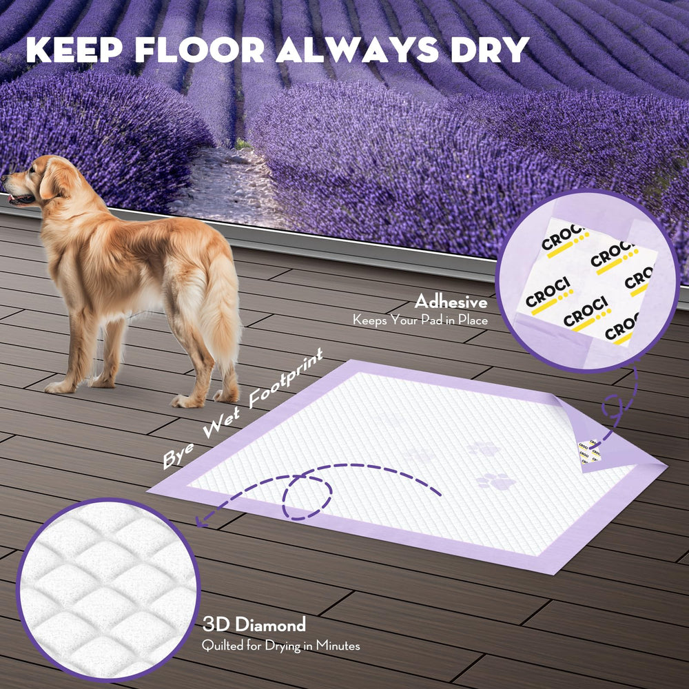 Croci protección de suelos gracias a la tecnología de absorción y retención.