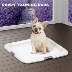 Croci almohadillas con sistema de 6 capas para absorción eficiente.