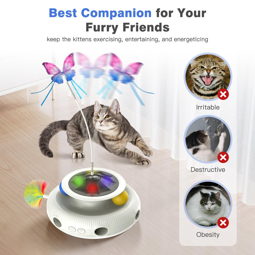 CSD Regalo ideal para amantes de gatos, entretenimiento sostenible.