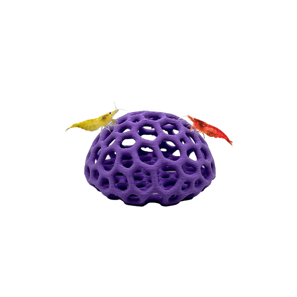 CTWPets domo colorido para camarones lavanda bliss ofrece un refugio seguro y atractivo.