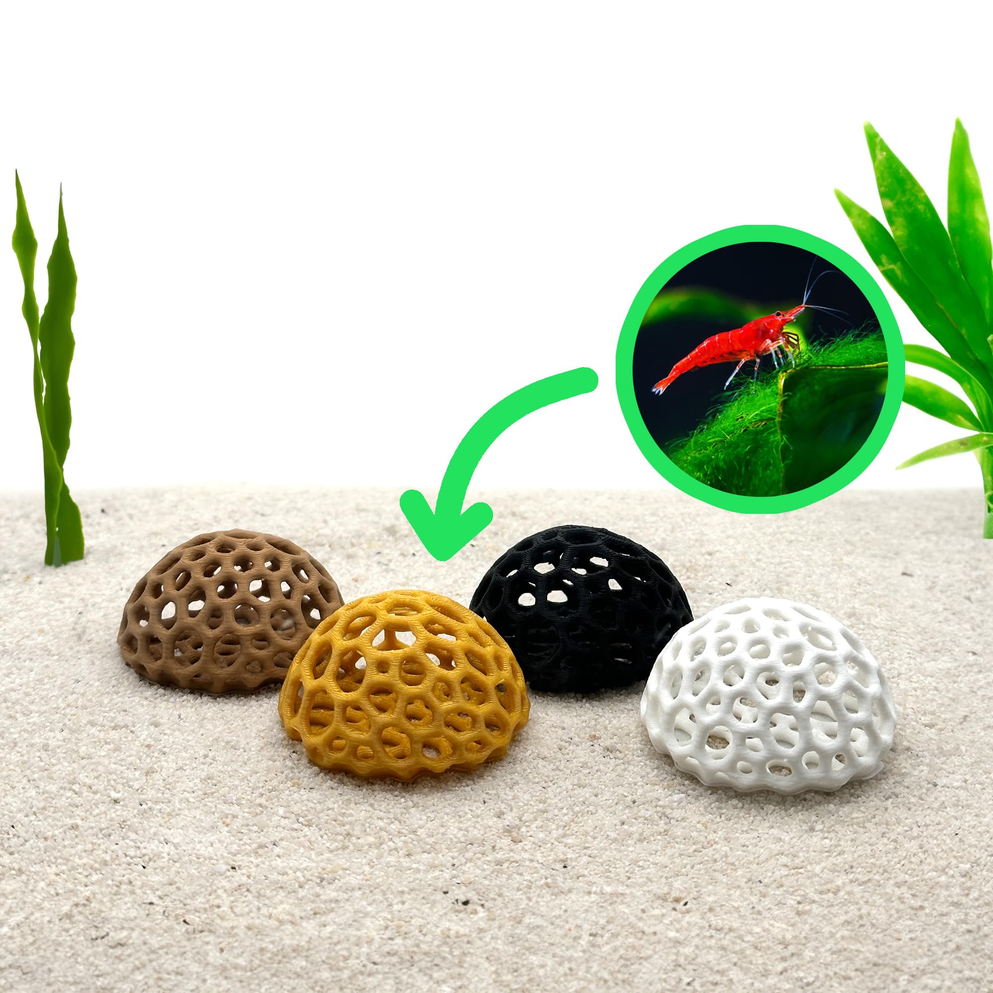 CTWPets Refugio Domo, interior a la vista, ideal para acuarios con camarones cereza.