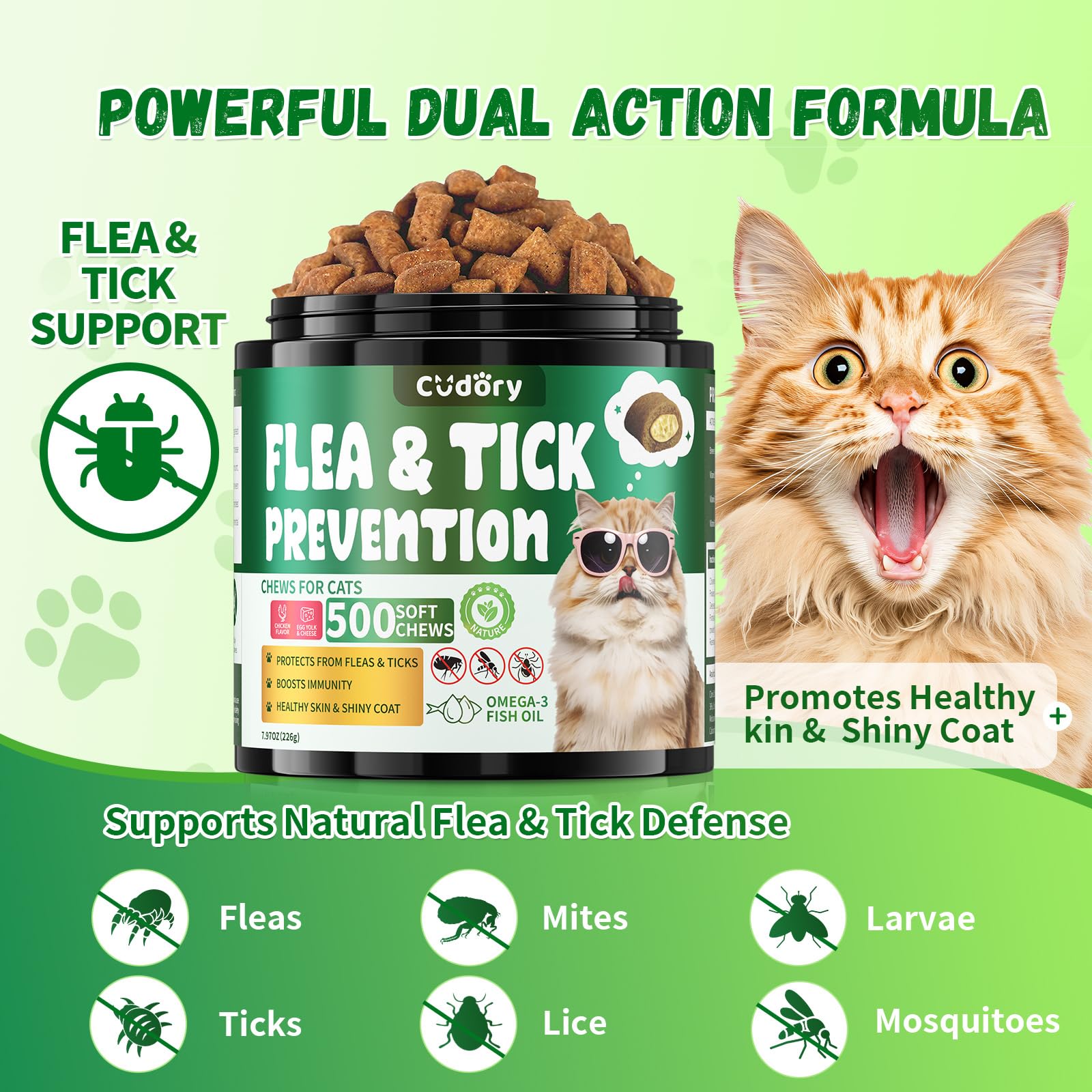 Cudory gato comiendo masticables como snack diario