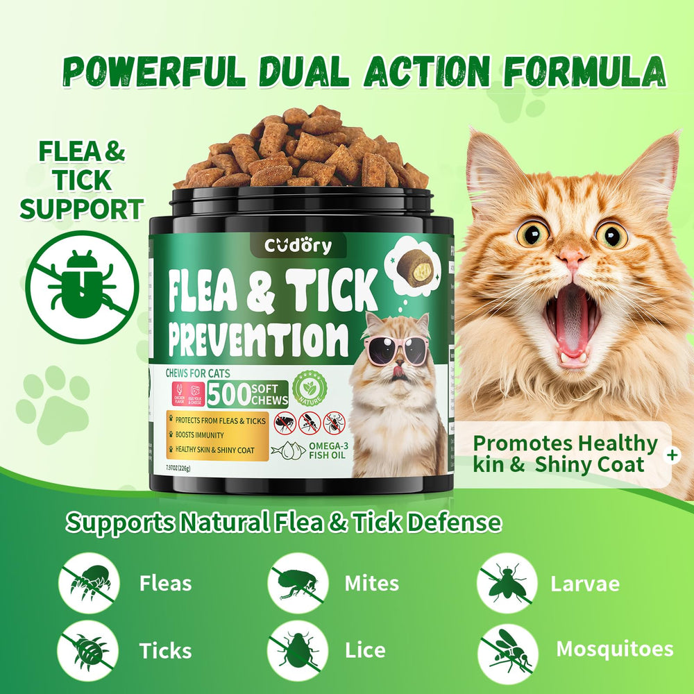 Cudory gato comiendo masticables como snack diario