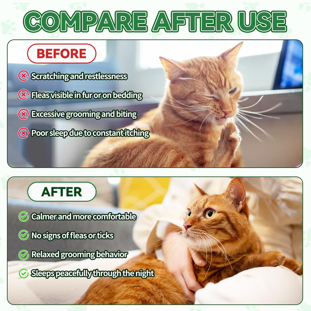Mezcla fácil con comida: dosis diaria sin estrés para tu gato.