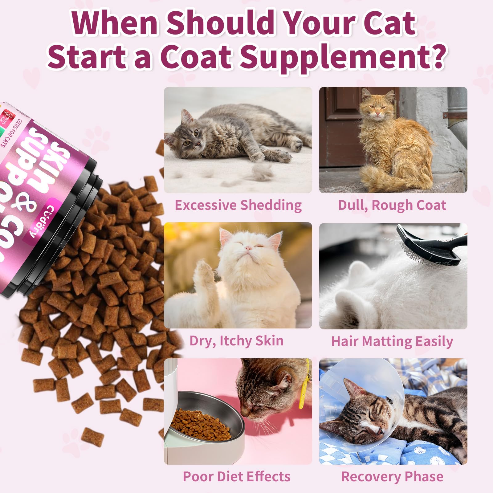 Cudory Omega-3 para gatos: brillo del pelo visible tras uso constante.