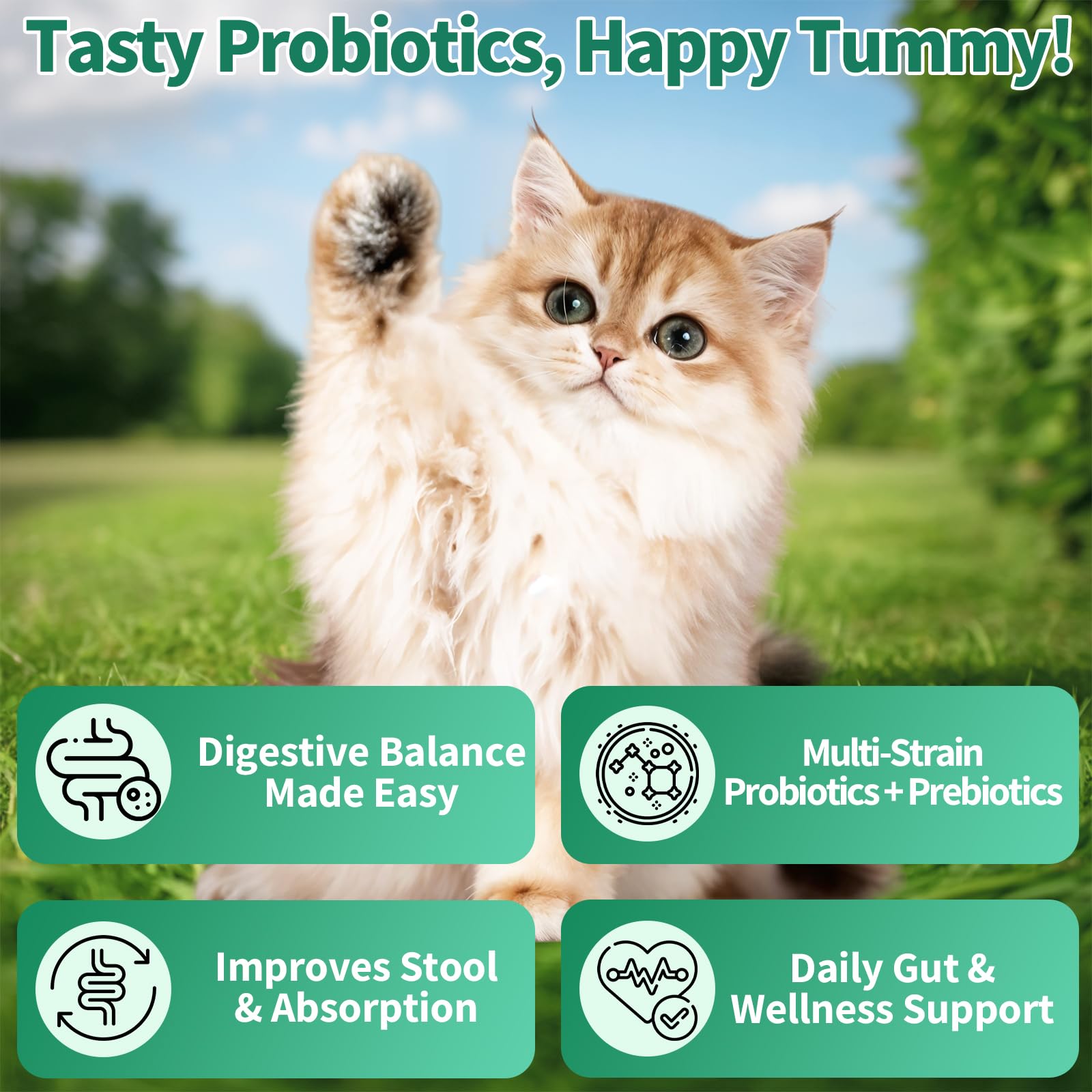 Cudory probióticos para gatos: ingredientes limpios, sin soja ni trigo