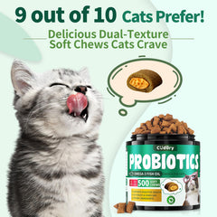 Cudory probióticos para gatos: varias cepas para flora intestinal equilibrada