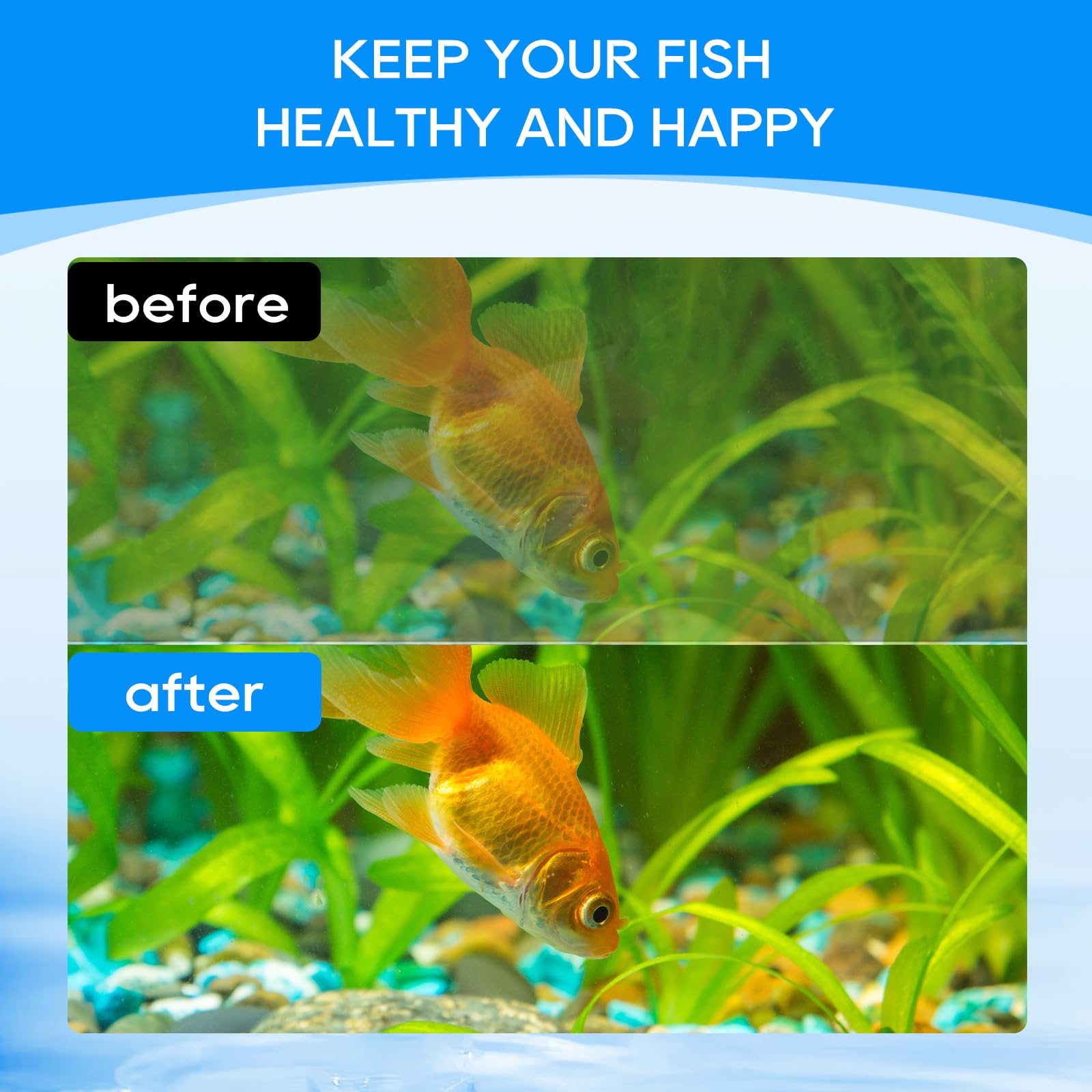 Instrucciones rápidas para montaje seguro de cartucho Cunina en el filtro de acuario.