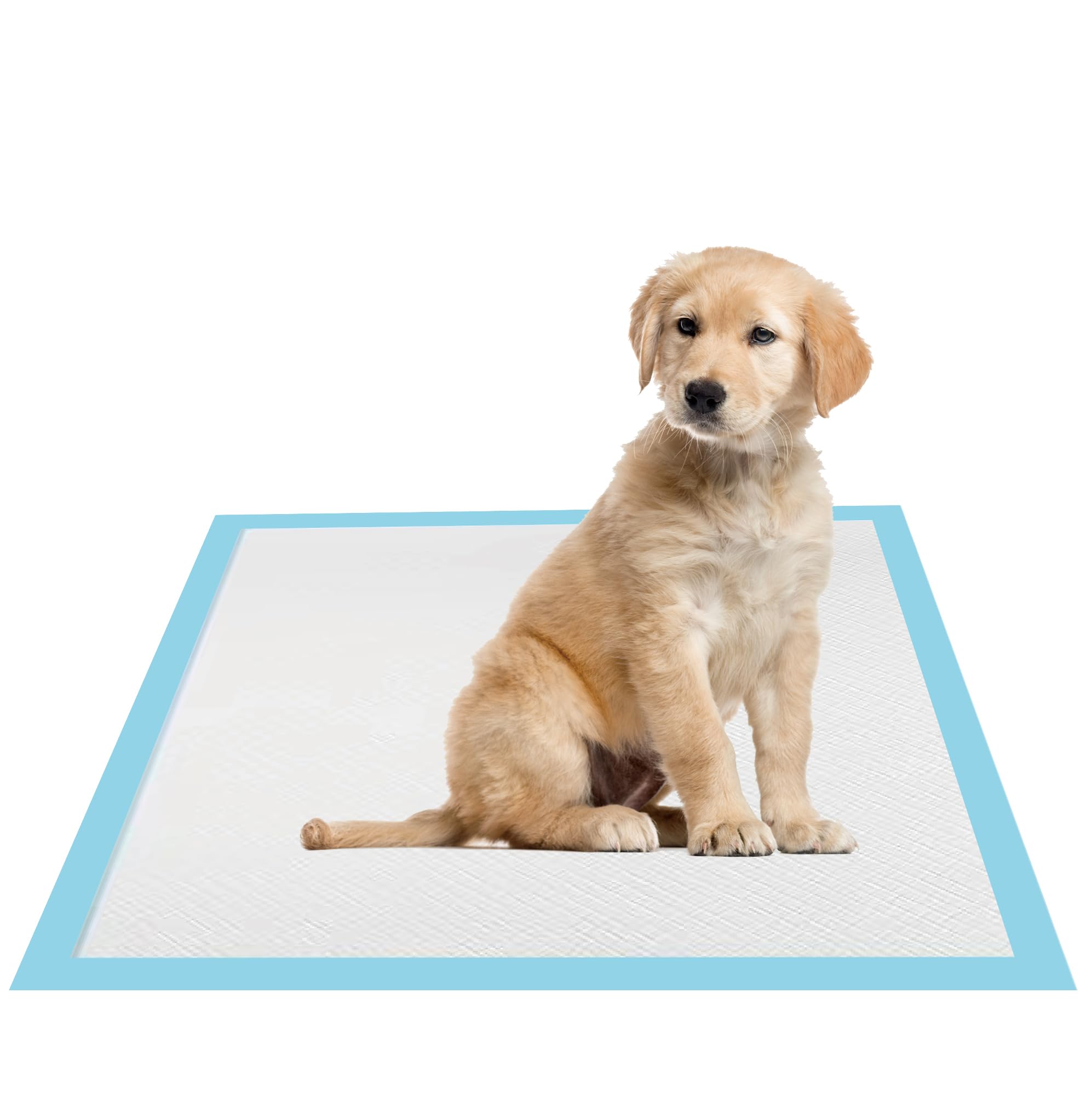 CUNIQUEPETAL almohadilla de entrenamiento para perros de 22x22, absorción rápida para suelos limpios.