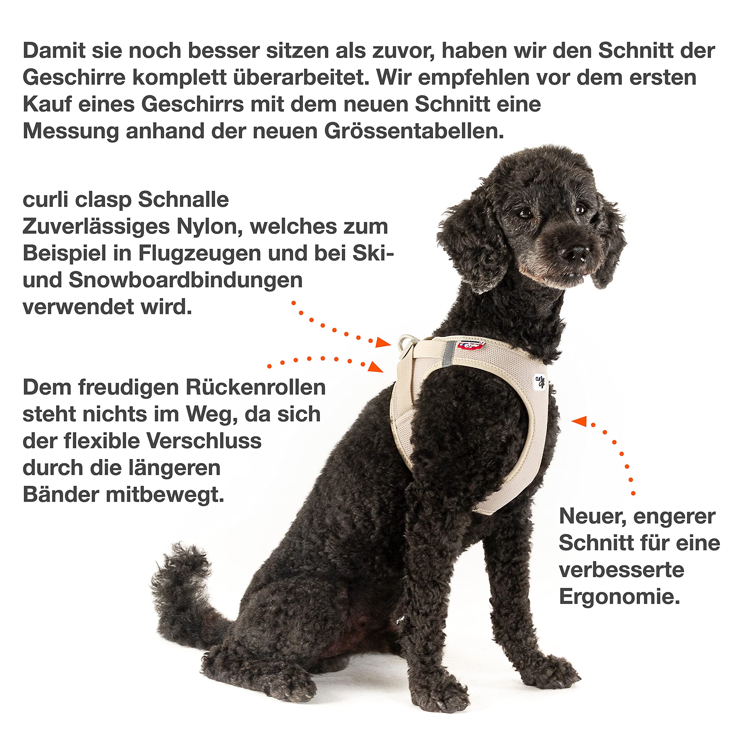 Curli Vest Harness mantiene cómodo al perro en salidas largas.