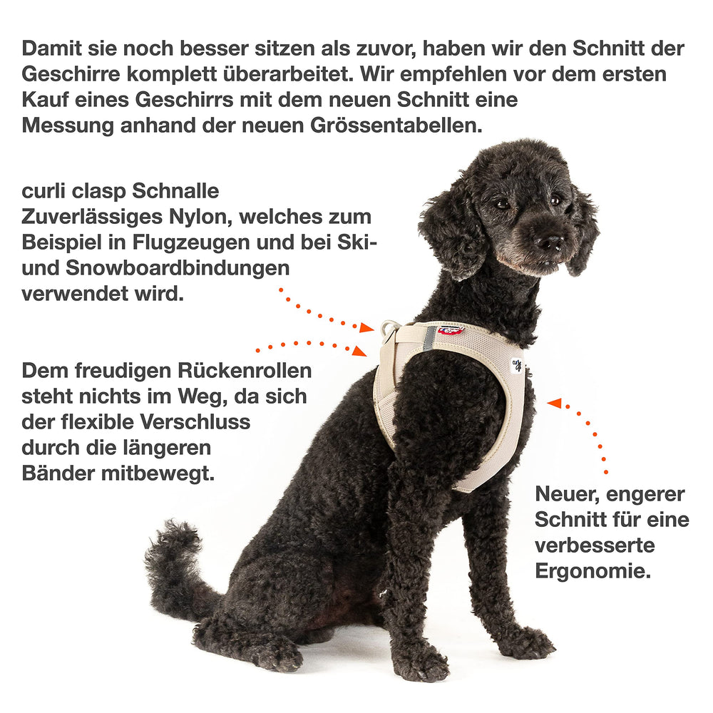 Curli Vest Harness mantiene cómodo al perro en salidas largas.