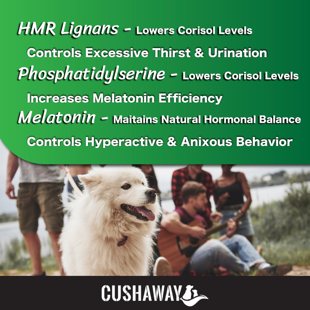 CushAway: ingredientes lignanos destacan enfoque natural para apoyo general.