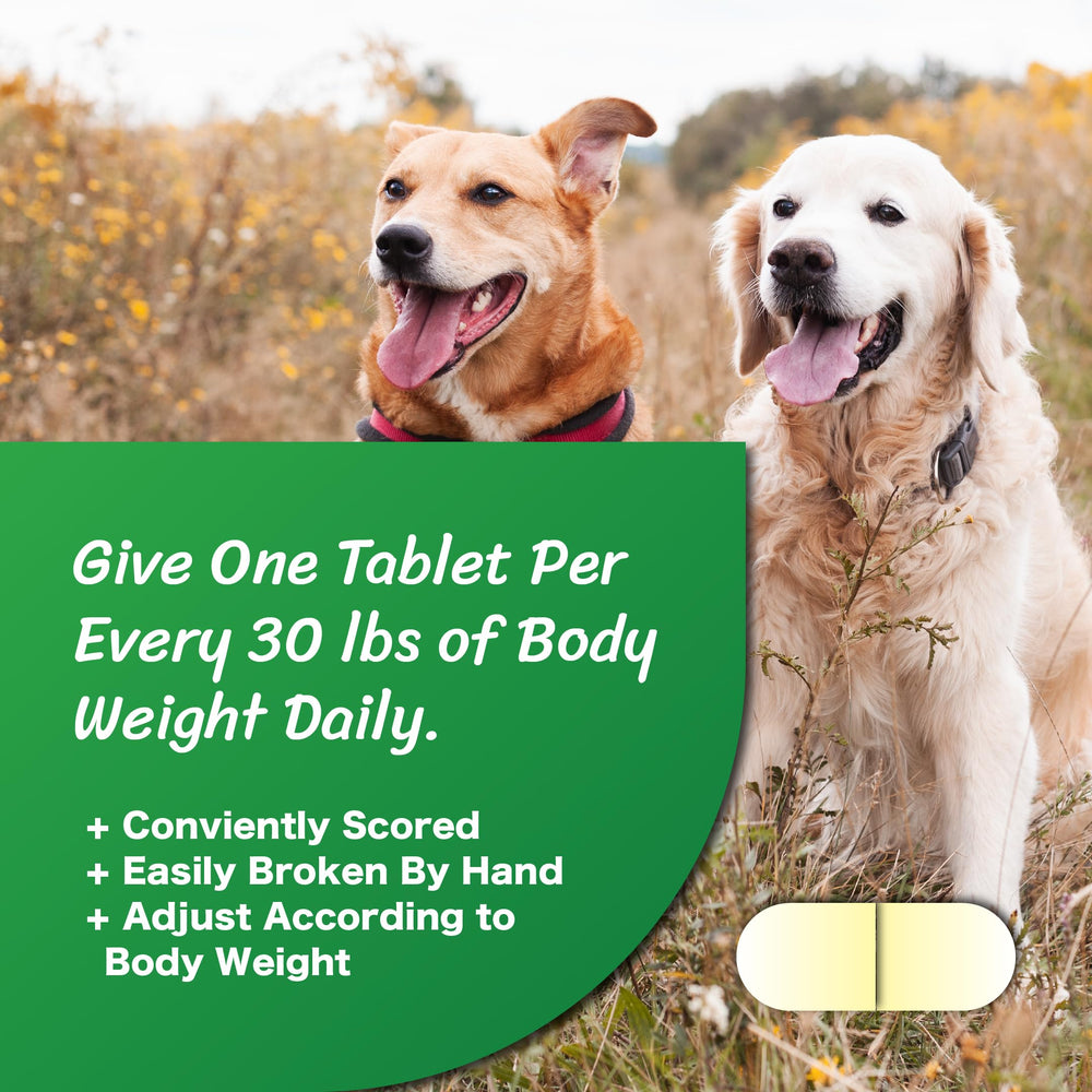 CushAway: melatonina y sinergia explican absorción mejorada.
