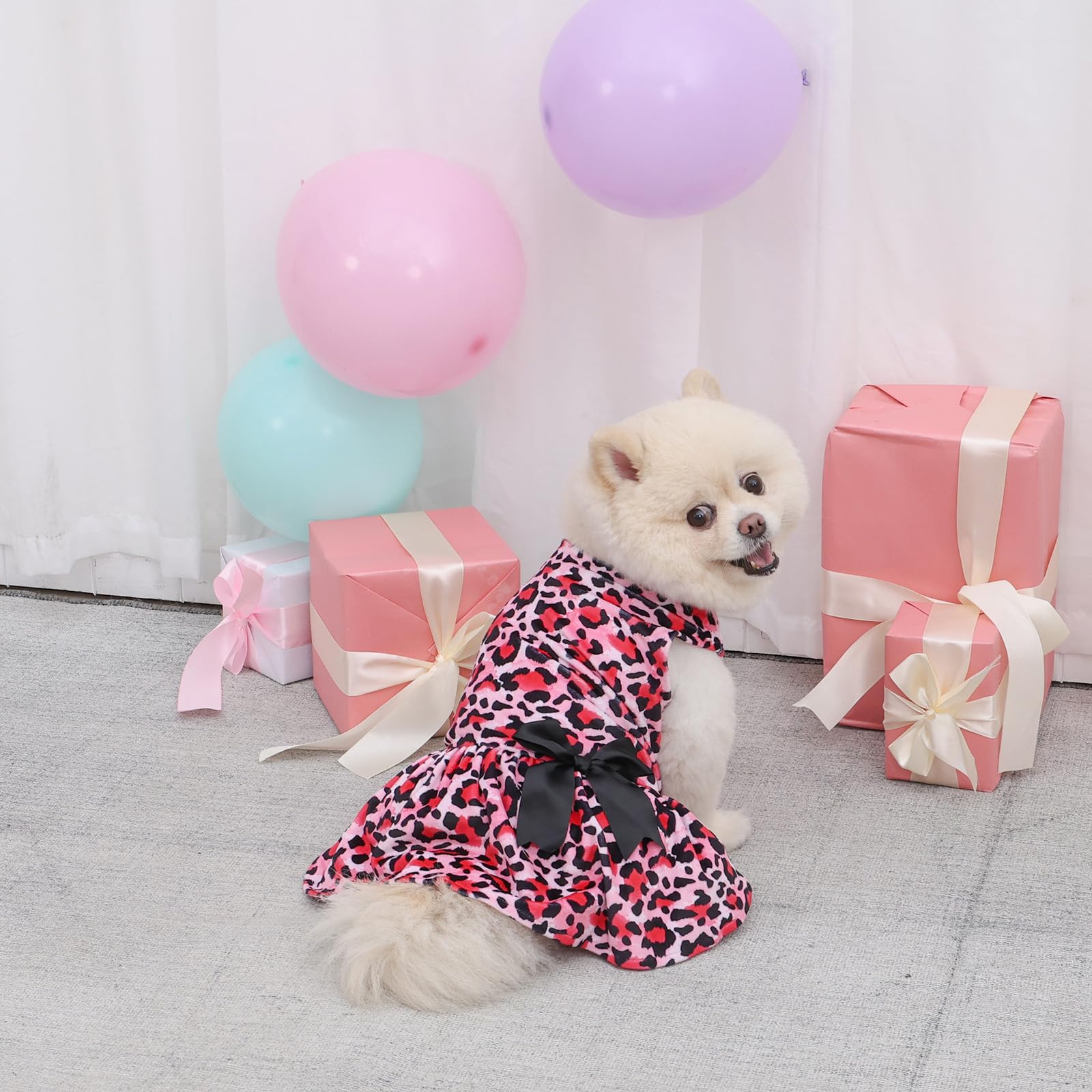 Presentación del conjunto CuteBone para regalo o almacenamiento