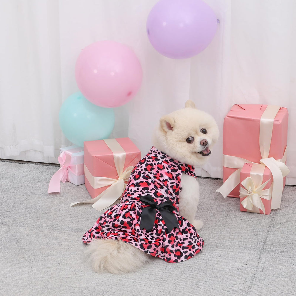 Presentación del conjunto CuteBone para regalo o almacenamiento