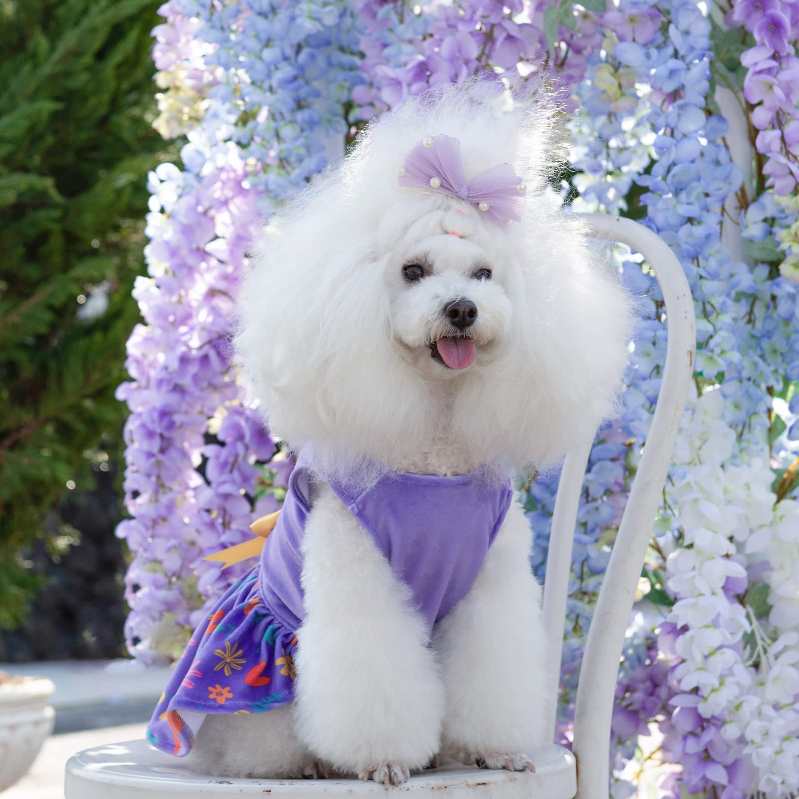 Accesorio lazo a juego CuteBone para perro pequeño, mejora el look.