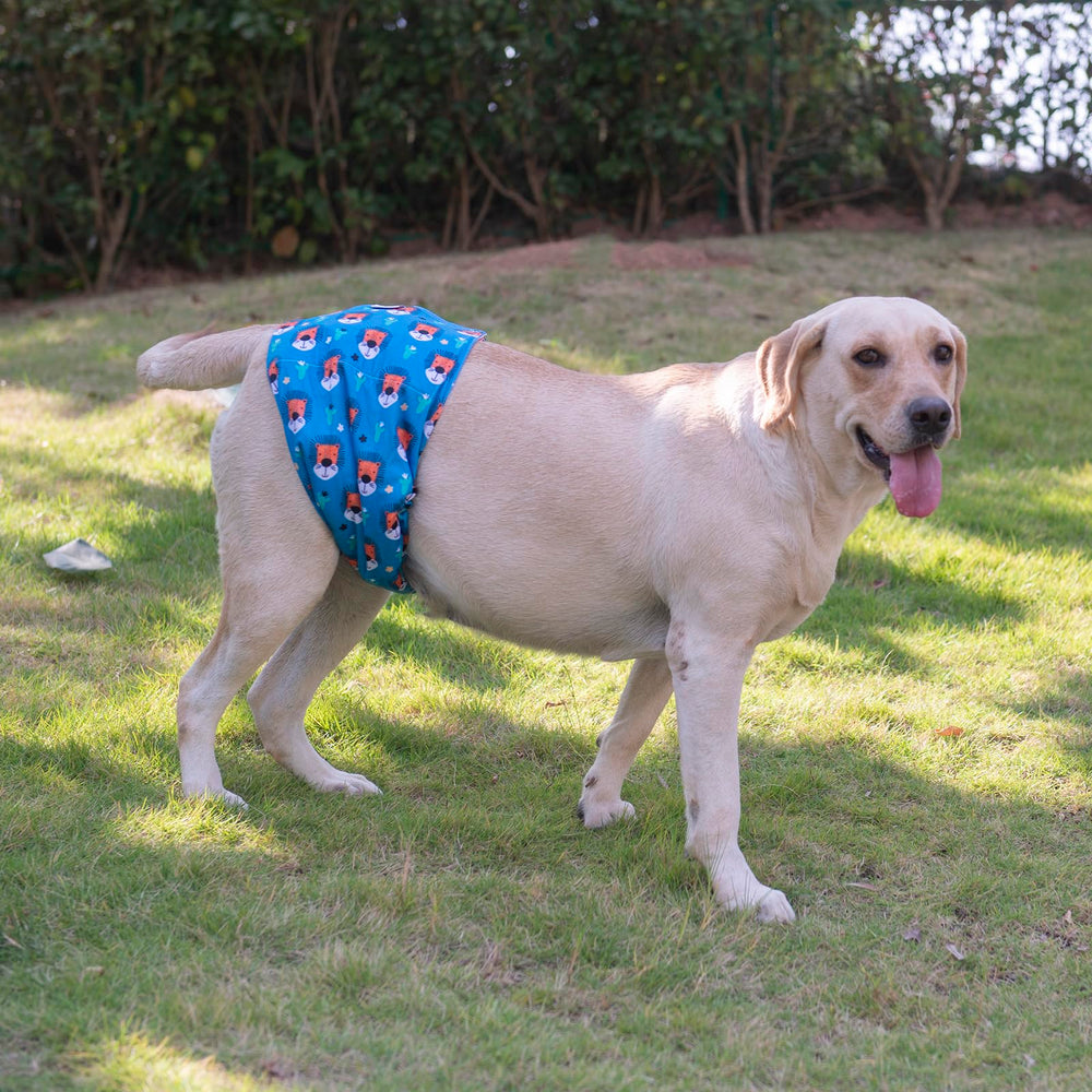 Guía de tallas XS a XL para elegir la talla adecuada.