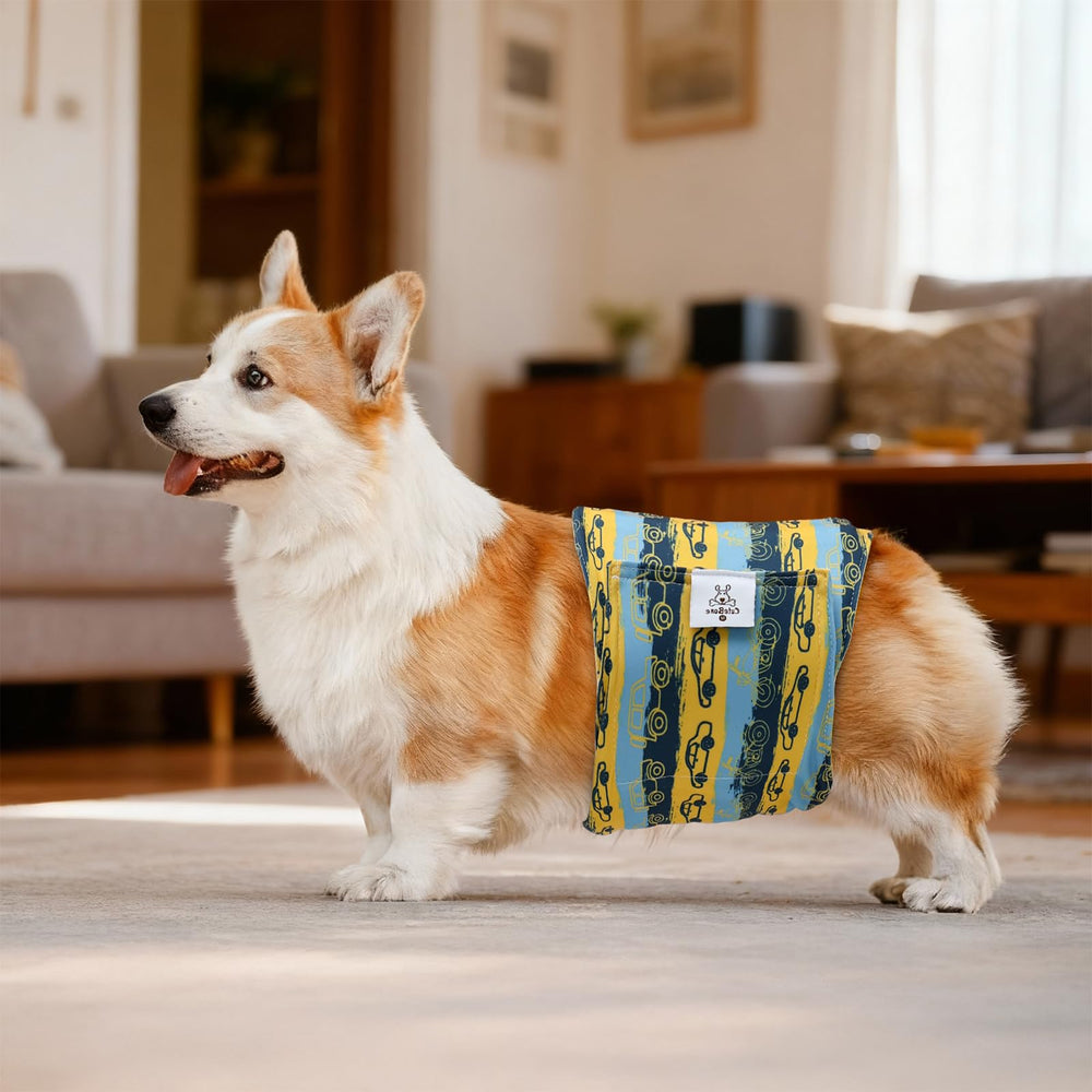 Bandas de vientre CuteBone para perro macho, ajuste fácil y seguro