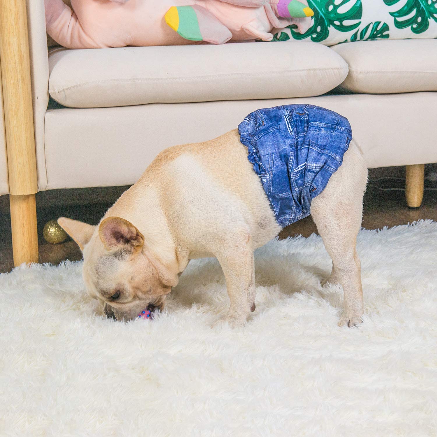 Diseños divertidos de las bandas CuteBone para perros