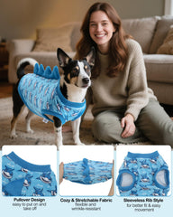 Detalle de terciopelo suave en CuteBone, camisa dinosaurio, tejido cómodo.